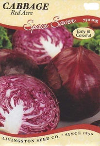 Cabbage - Red Acre