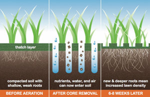 EarthWorks - Myco-Replenish 3-3-3 w/ Mycorrhizae Standard Grade Organic Fertilizer