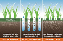 Load image into Gallery viewer, EarthWorks - Replenish 10-2-5 Standard Grade Organic Fertilizer