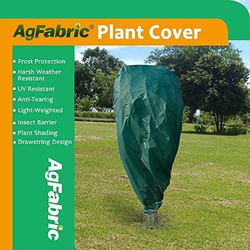 Agfabric Fabric Raised Garden Bed Square Plant Grow Bags