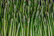 Load image into Gallery viewer, Bonnie Plants Asparagus Plant 19.3 oz