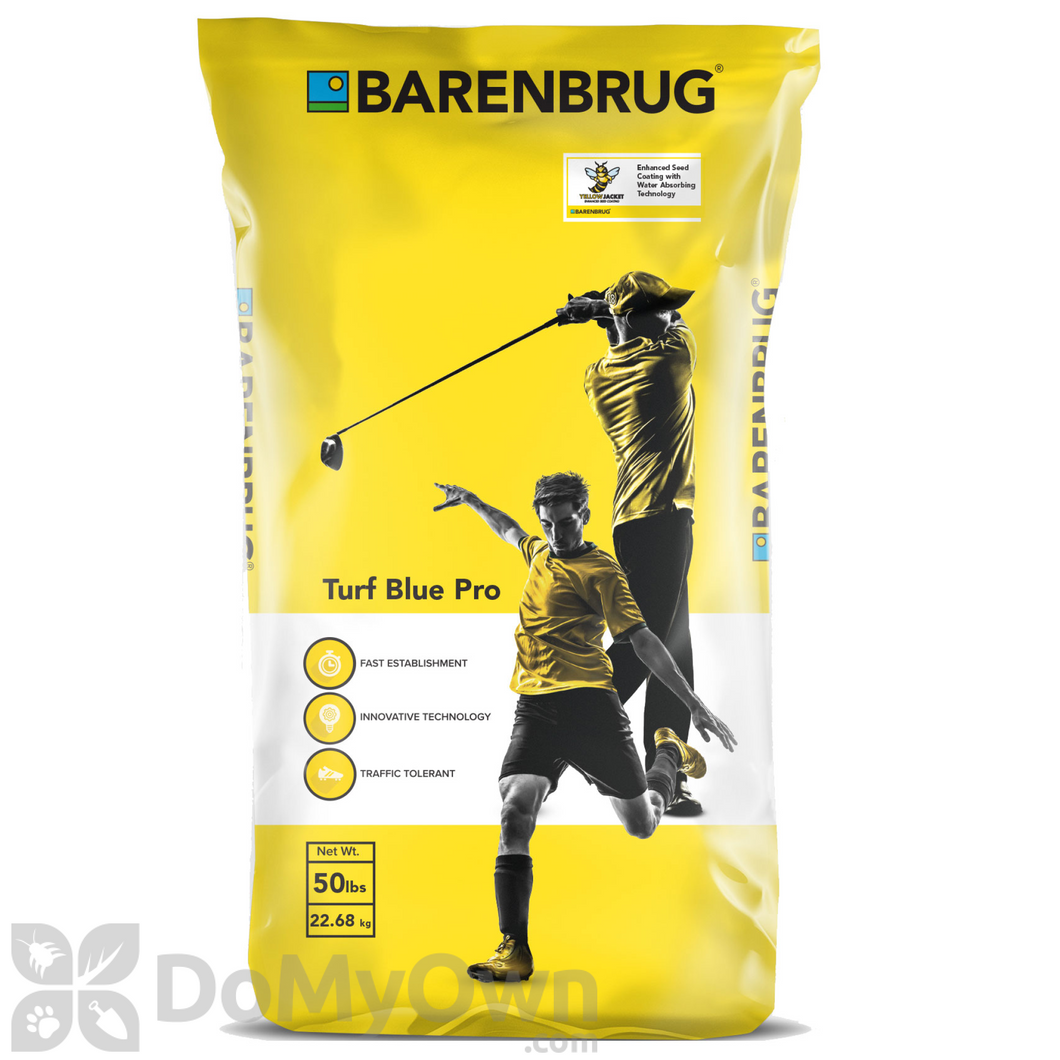 Barenbrug Turf Blue Pro with Yellow Jacket Grass Seed