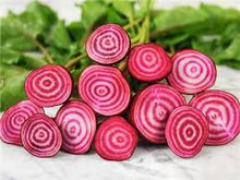 Load image into Gallery viewer, Beet - Chioggia
