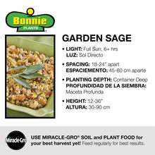 Load image into Gallery viewer, Bonnie Plants Garden Sage instructions
