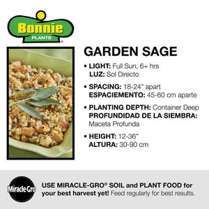 Bonnie Plants Garden Sage instructions