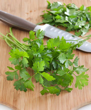 Load image into Gallery viewer, Bonnie Plants Italian Flat Parsley chopped