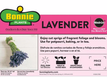 Load image into Gallery viewer, Bonnie Plants Lavender instructions