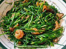 Load image into Gallery viewer, Bonnie Plants Garlic Chives sauteed with shrimp