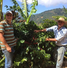 Load image into Gallery viewer, Greater Goods - Take Me Home - Costa Rica S.O. Coffee