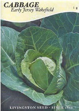 Load image into Gallery viewer, Cabbage Early Jersey Wakefield