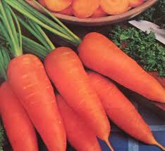 Carrot - Little Finger