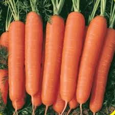Carrot - Nantes