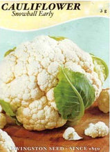 Load image into Gallery viewer, Cauliflower - SNOWBALL, EARLY