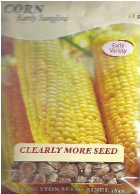 Corn - EARLY SUNGLOW
