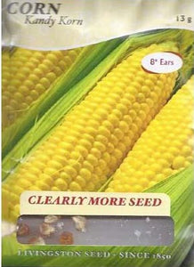 Corn - KANDY KORN