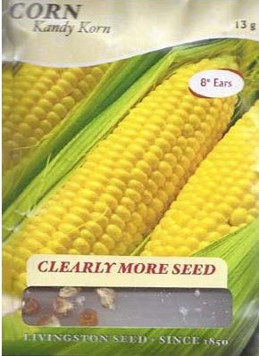 Corn - KANDY KORN