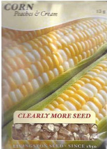 Corn - PEACHES & CREAM MID