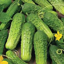 Cucumber - Homemade Pickles