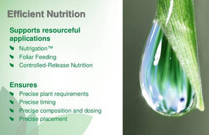 EarthWorks - Protein Plus 14-2-6 Liquid Foliar Fertilizer