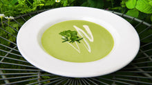 Load image into Gallery viewer, Bonnie Plants Honeydew Cantaloupe soup