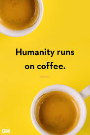Caffe Vita - Theo Blend Organic Coffee - humanity runs on coffee