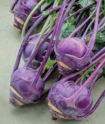 Kohlrabi - EARLY PURPLE VIENNA