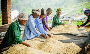 La Colombe Rwanda Early Riser coffee beans