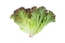 Load image into Gallery viewer, Lettuce - PRIZEHEAD