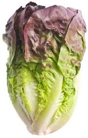 Lettuce - RED ROMAINE