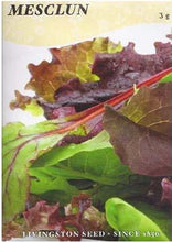 Load image into Gallery viewer, Lettuce - MESCLUN