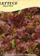 Load image into Gallery viewer, Lettuce Royal Red