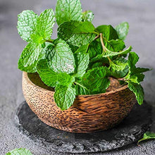 Load image into Gallery viewer, Livingston Herb Seeds - Mint basket