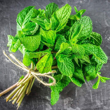 Load image into Gallery viewer, Livingston Herb Seeds - Mint tied