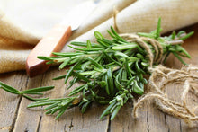 Load image into Gallery viewer, Livingston Herb Seeds - Rosemary tied