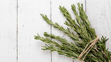 Load image into Gallery viewer, Livingston Herb Seeds - Rosemary tied 2
