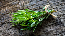Load image into Gallery viewer, Livingston Herb Seeds - Rosemary tied 3