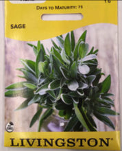 Load image into Gallery viewer, Livingston Herb Seeds - Sage