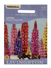 Load image into Gallery viewer, Livingston - Lupine - Russell&#39;s Prize Mix 