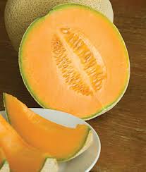 Melon - HALE'S BEST JUMBO