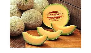 Melon - HALE'S BEST JUMBO