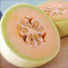 Melon - HONEY DEW