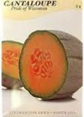 Melon Cantaloupe Pride of Wisconsin