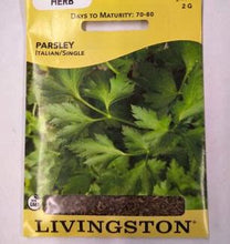 Load image into Gallery viewer, Parsley - Italian