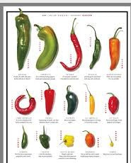 Pepper - SWEET BANANA