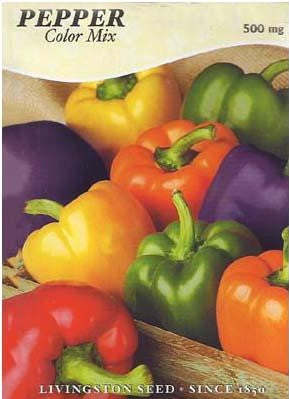 Pepper - BELL COLOR MIX