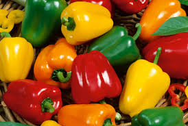 Pepper - BELL COLOR MIX