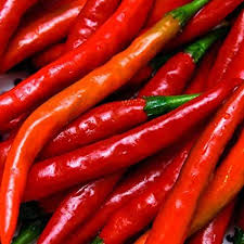 Pepper - CAYENNE LONG RED