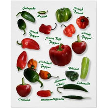 Load image into Gallery viewer, Pepper - JALAPENO