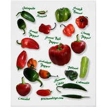Load image into Gallery viewer, Pepper - SERRANO