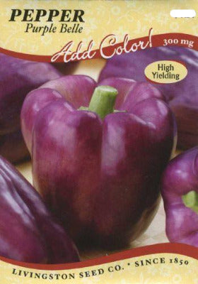 Pepper Purple Belle